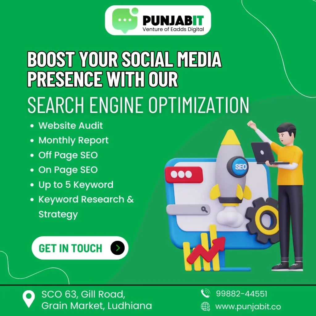 Search Engine Optimization In Amritsar