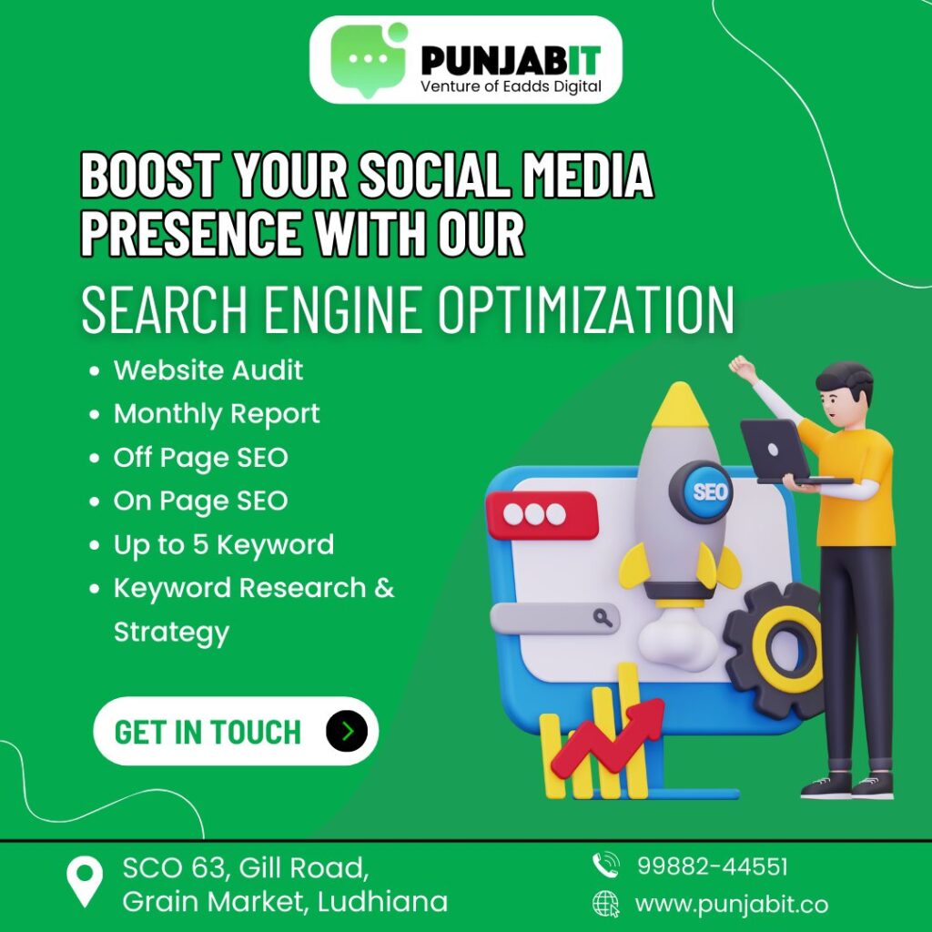 Search Engine Optimization in Ludhiana