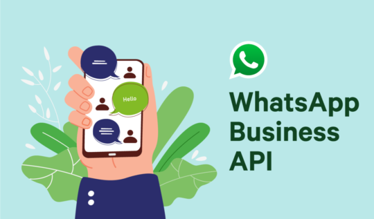 WhatsApp Business API in Ludhiana