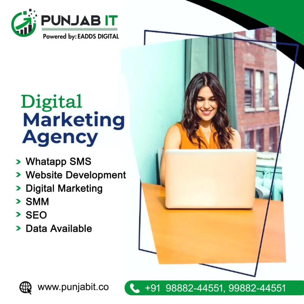 Digital Marketing Agency In Mohali